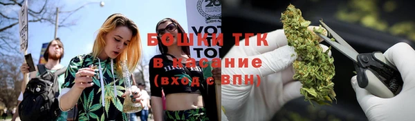 сатива Мегион