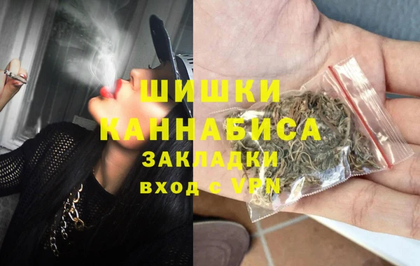 сатива Мегион