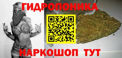 спайс Кандалакша