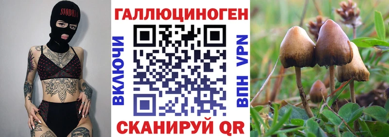 blacksprut ссылки  Моздок  Галлюциногенные грибы прущие грибы  наркошоп 