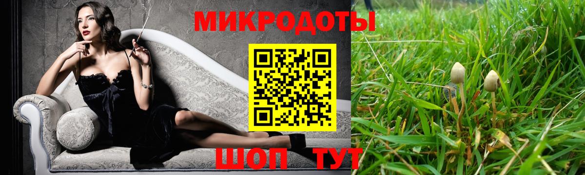 Галлюциногенные грибы мицелий  где найти наркотики  Псилоцибиновые грибы GOLDEN TEACHER  Моздок 