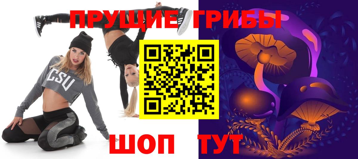 Моздок  Псилоцибиновые грибы GOLDEN TEACHER  Вход с VPN 