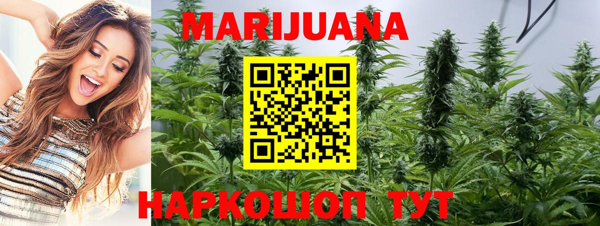 Конопля индика  Бошки марихуана тримм  Моздок  Марихуана план  Вход с VPN 